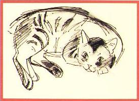Julian Williams: Taro