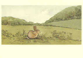 Anita Jeram: Over the Meadow