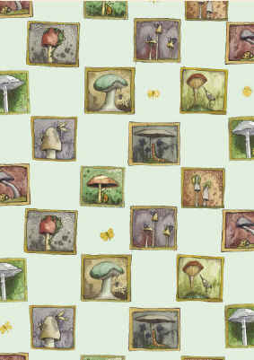 Fran Evans: Mushrooms