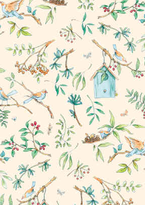 Anita Jeram: Birds - Pale