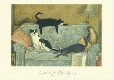 Alison Friend: Catnip Junkies
