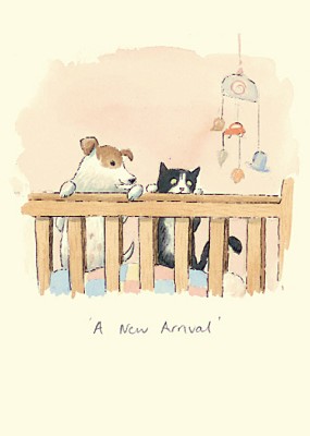 Alison Friend: New Arrival