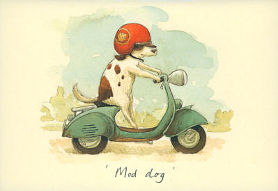 Alison Friend: Mod Dog
