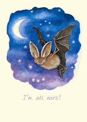 Celia Biscoe: All Ears