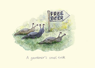 Celia Biscoe: Free Beer