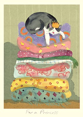 Anna Shuttlewood: For a Princess