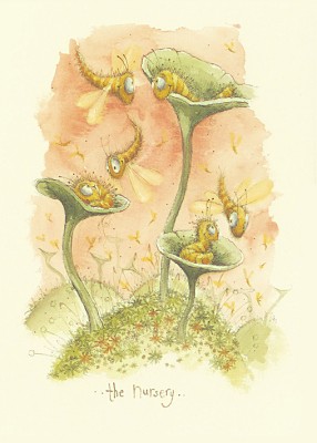 Fran Evans: The Nursery
