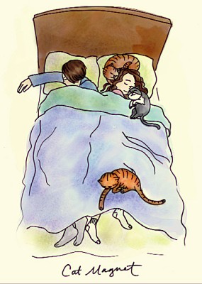 Angela Martini: Cat Magnet