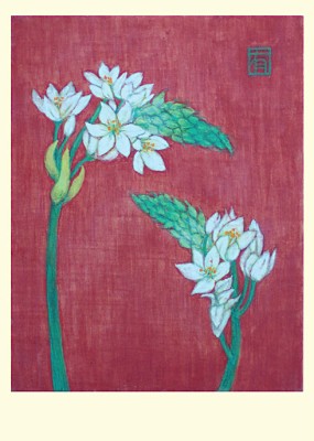 Yuko Hirose: Ornithogalum