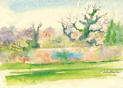 Shizsu Takahashi: Ivy Clad Oak
