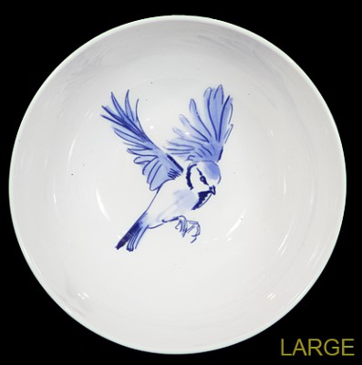 Julian Williams: Blue Tit