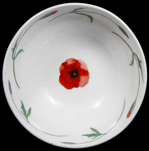Fran Evans: Poppy