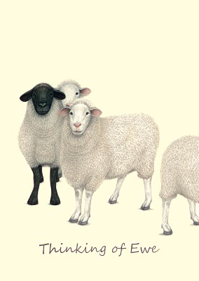 Lisa DAndrea: Thinking Of Ewe