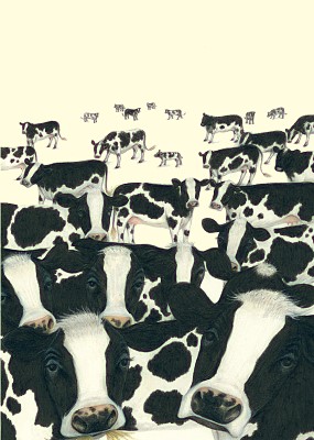 Lisa DAndrea: Cows