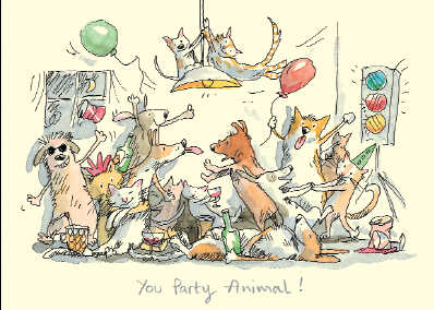 Anita Jeram: You Party Animal