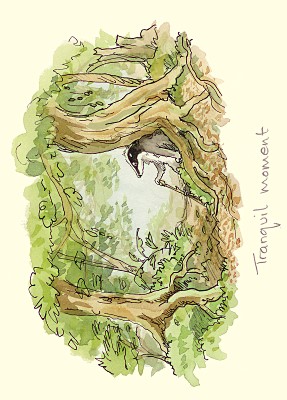 Anita Jeram: Tranquil moments