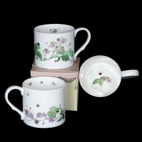 Fran Evans: Bramble Blossom