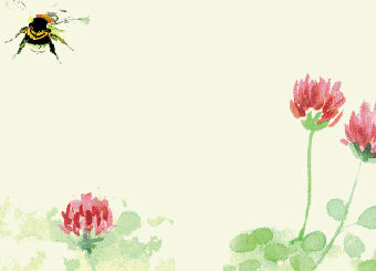 Julian Williams: Red Clover