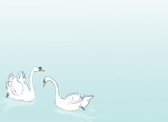 Julian Williams: Swans