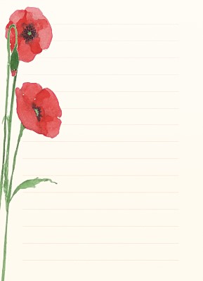Fran Evans: Meadow Flowers