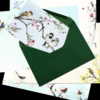 Julian Williams: Sparrows