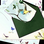 Julian Williams: Blue Tits