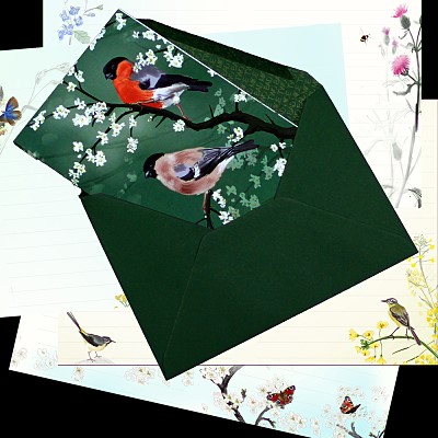 Julian Williams: Bullfinches