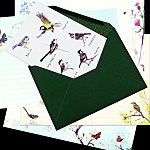 Julian Williams: Know Your Tits