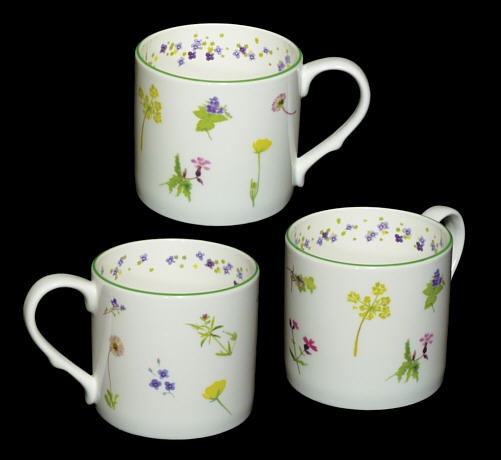 Fran Evans: Meadow Flowers