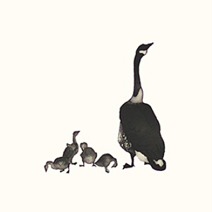 Julian Williams: Mother Goose