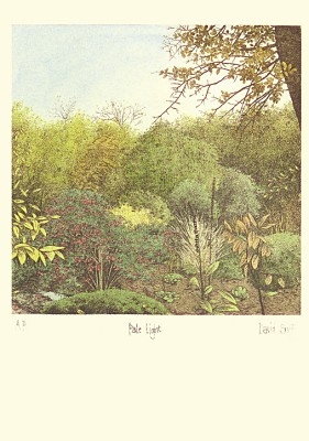 David Suff: Pale Light