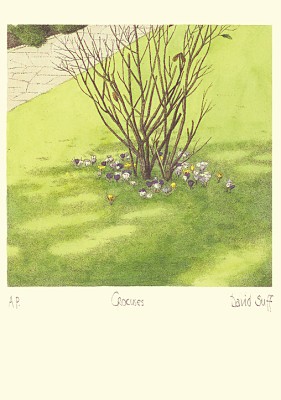 David Suff: Crocuses-March