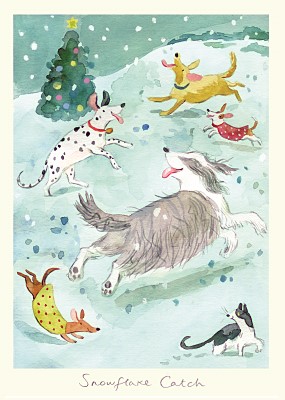 Anna Shuttlewood: Snowflake Catch