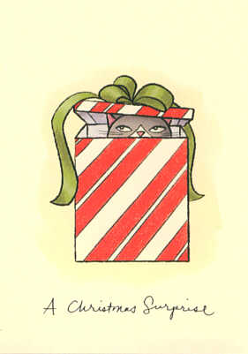 Angela Martini: Christmas Surprise