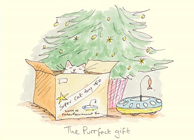 Anita Jeram: The Purrfect Gift