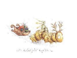 Fran Evans: Caterpillar Express